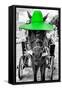 ¡Viva Mexico! B&W Collection - Horse with Green straw Hat-Philippe Hugonnard-Framed Stretched Canvas