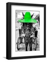 ¡Viva Mexico! B&W Collection - Horse with Green straw Hat-Philippe Hugonnard-Framed Photographic Print