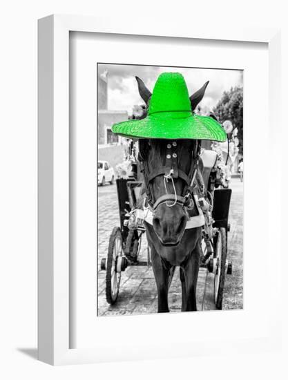 ¡Viva Mexico! B&W Collection - Horse with Green straw Hat-Philippe Hugonnard-Framed Photographic Print