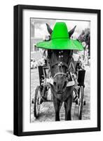 ¡Viva Mexico! B&W Collection - Horse with Green straw Hat-Philippe Hugonnard-Framed Photographic Print