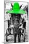 ¡Viva Mexico! B&W Collection - Horse with Green straw Hat-Philippe Hugonnard-Mounted Photographic Print