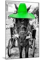 ¡Viva Mexico! B&W Collection - Horse with Green straw Hat-Philippe Hugonnard-Mounted Photographic Print