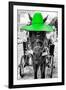 ¡Viva Mexico! B&W Collection - Horse with Green straw Hat-Philippe Hugonnard-Framed Photographic Print