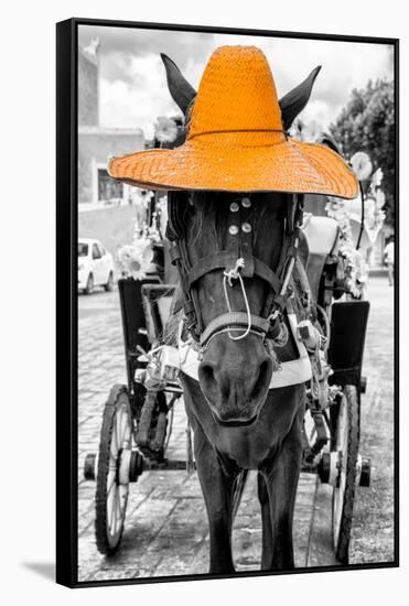 ¡Viva Mexico! B&W Collection - Horse with Light Orange straw Hat-Philippe Hugonnard-Framed Stretched Canvas