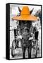 ¡Viva Mexico! B&W Collection - Horse with Light Orange straw Hat-Philippe Hugonnard-Framed Stretched Canvas