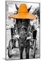 ¡Viva Mexico! B&W Collection - Horse with Light Orange straw Hat-Philippe Hugonnard-Mounted Photographic Print