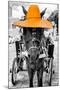 ¡Viva Mexico! B&W Collection - Horse with Light Orange straw Hat-Philippe Hugonnard-Mounted Photographic Print