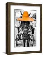 ¡Viva Mexico! B&W Collection - Horse with Light Orange straw Hat-Philippe Hugonnard-Framed Photographic Print