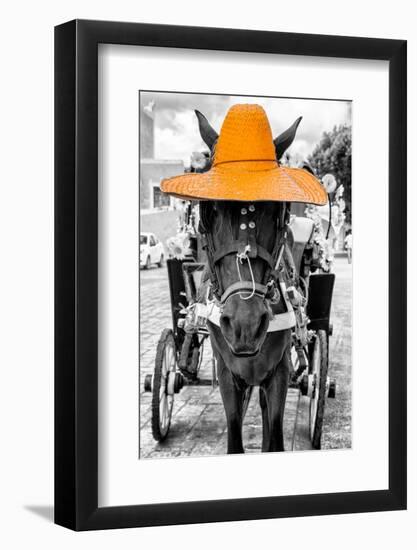 ¡Viva Mexico! B&W Collection - Horse with Light Orange straw Hat-Philippe Hugonnard-Framed Photographic Print