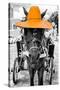 ¡Viva Mexico! B&W Collection - Horse with Light Orange straw Hat-Philippe Hugonnard-Stretched Canvas