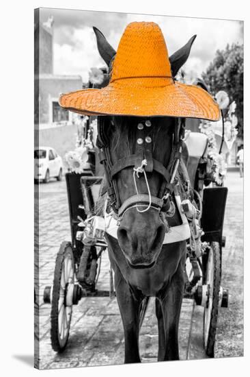 ¡Viva Mexico! B&W Collection - Horse with Light Orange straw Hat-Philippe Hugonnard-Stretched Canvas