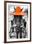 ¡Viva Mexico! B&W Collection - Horse with Orange straw Hat-Philippe Hugonnard-Framed Premium Photographic Print