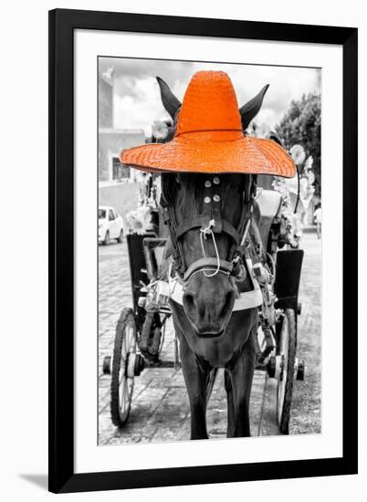¡Viva Mexico! B&W Collection - Horse with Orange straw Hat-Philippe Hugonnard-Framed Premium Photographic Print