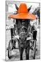 ¡Viva Mexico! B&W Collection - Horse with Orange straw Hat-Philippe Hugonnard-Mounted Premium Photographic Print