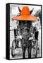 ¡Viva Mexico! B&W Collection - Horse with Orange straw Hat-Philippe Hugonnard-Framed Stretched Canvas