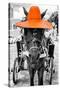 ¡Viva Mexico! B&W Collection - Horse with Orange straw Hat-Philippe Hugonnard-Stretched Canvas