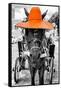 ¡Viva Mexico! B&W Collection - Horse with Orange straw Hat-Philippe Hugonnard-Framed Stretched Canvas