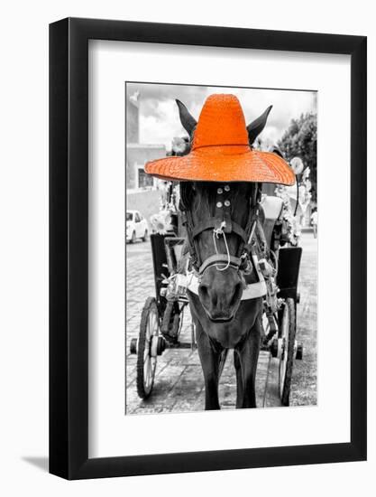 ¡Viva Mexico! B&W Collection - Horse with Orange straw Hat-Philippe Hugonnard-Framed Photographic Print