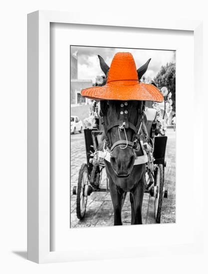 ¡Viva Mexico! B&W Collection - Horse with Orange straw Hat-Philippe Hugonnard-Framed Photographic Print