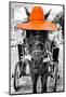 ¡Viva Mexico! B&W Collection - Horse with Orange straw Hat-Philippe Hugonnard-Mounted Photographic Print