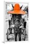 ¡Viva Mexico! B&W Collection - Horse with Orange straw Hat-Philippe Hugonnard-Framed Photographic Print