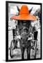 ¡Viva Mexico! B&W Collection - Horse with Orange straw Hat-Philippe Hugonnard-Framed Photographic Print