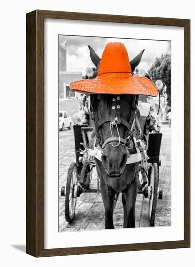 ¡Viva Mexico! B&W Collection - Horse with Orange straw Hat-Philippe Hugonnard-Framed Photographic Print