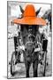 ¡Viva Mexico! B&W Collection - Horse with Orange straw Hat-Philippe Hugonnard-Mounted Photographic Print