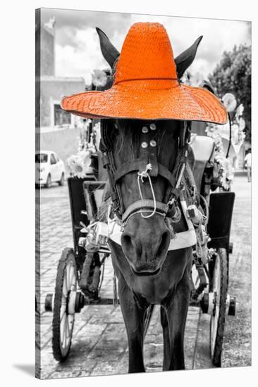 ¡Viva Mexico! B&W Collection - Horse with Orange straw Hat-Philippe Hugonnard-Stretched Canvas