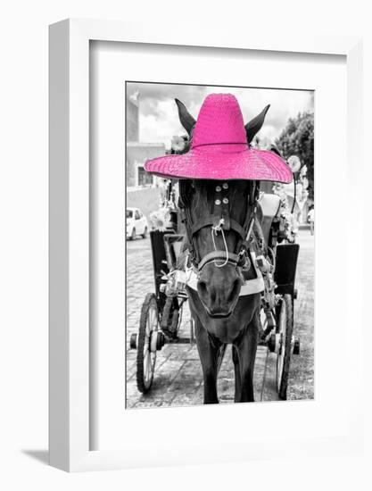 ¡Viva Mexico! B&W Collection - Horse with Pink straw Hat-Philippe Hugonnard-Framed Photographic Print