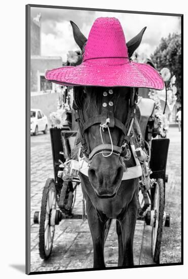 ¡Viva Mexico! B&W Collection - Horse with Pink straw Hat-Philippe Hugonnard-Mounted Photographic Print