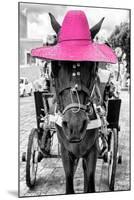 ¡Viva Mexico! B&W Collection - Horse with Pink straw Hat-Philippe Hugonnard-Mounted Premium Photographic Print