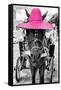 ¡Viva Mexico! B&W Collection - Horse with Pink straw Hat-Philippe Hugonnard-Framed Stretched Canvas