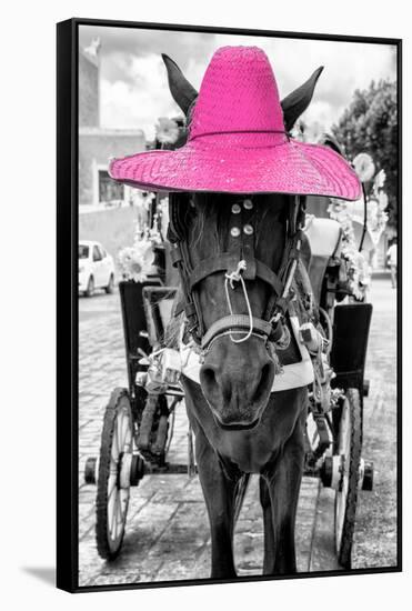 ¡Viva Mexico! B&W Collection - Horse with Pink straw Hat-Philippe Hugonnard-Framed Stretched Canvas