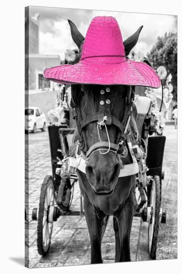 ¡Viva Mexico! B&W Collection - Horse with Pink straw Hat-Philippe Hugonnard-Stretched Canvas