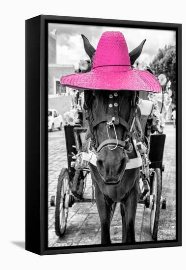 ¡Viva Mexico! B&W Collection - Horse with Pink straw Hat-Philippe Hugonnard-Framed Stretched Canvas