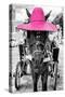 ¡Viva Mexico! B&W Collection - Horse with Pink straw Hat-Philippe Hugonnard-Stretched Canvas