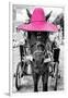 ¡Viva Mexico! B&W Collection - Horse with Pink straw Hat-Philippe Hugonnard-Framed Photographic Print