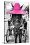 ¡Viva Mexico! B&W Collection - Horse with Pink straw Hat-Philippe Hugonnard-Stretched Canvas