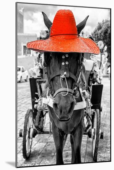 ¡Viva Mexico! B&W Collection - Horse with Red straw Hat-Philippe Hugonnard-Mounted Photographic Print