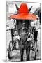 ¡Viva Mexico! B&W Collection - Horse with Red straw Hat-Philippe Hugonnard-Mounted Photographic Print