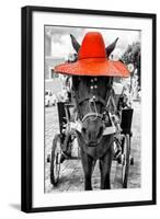 ¡Viva Mexico! B&W Collection - Horse with Red straw Hat-Philippe Hugonnard-Framed Photographic Print