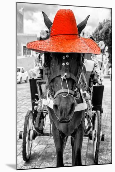 ¡Viva Mexico! B&W Collection - Horse with Red straw Hat-Philippe Hugonnard-Mounted Photographic Print