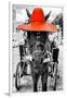 ¡Viva Mexico! B&W Collection - Horse with Red straw Hat-Philippe Hugonnard-Framed Premium Photographic Print