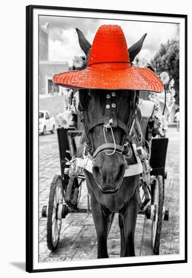 ¡Viva Mexico! B&W Collection - Horse with Red straw Hat-Philippe Hugonnard-Framed Premium Photographic Print