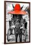 ¡Viva Mexico! B&W Collection - Horse with Red straw Hat-Philippe Hugonnard-Framed Photographic Print