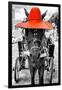 ¡Viva Mexico! B&W Collection - Horse with Red straw Hat-Philippe Hugonnard-Framed Photographic Print