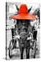 ¡Viva Mexico! B&W Collection - Horse with Red straw Hat-Philippe Hugonnard-Stretched Canvas