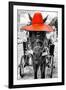 ¡Viva Mexico! B&W Collection - Horse with Red straw Hat-Philippe Hugonnard-Framed Premium Photographic Print