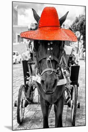 ¡Viva Mexico! B&W Collection - Horse with Red straw Hat-Philippe Hugonnard-Mounted Premium Photographic Print